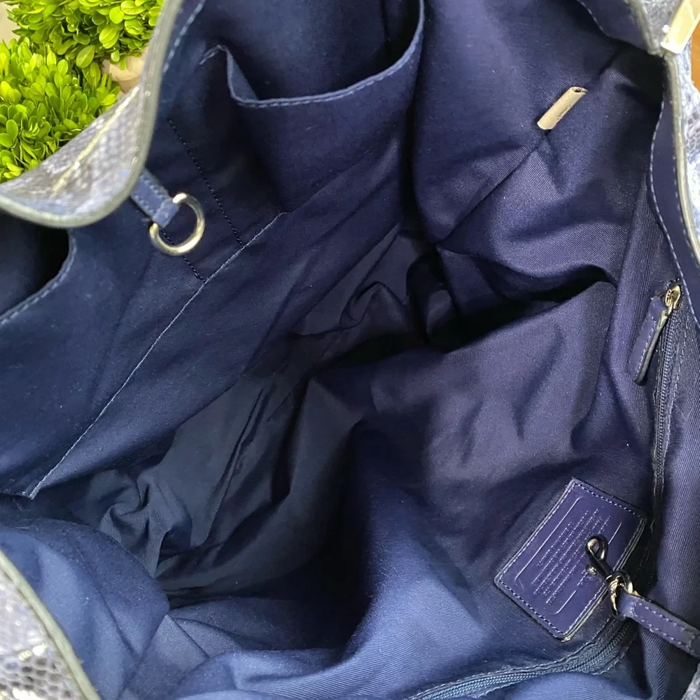 Coach XL Josie Blue Glass Python-Print Leather Tote